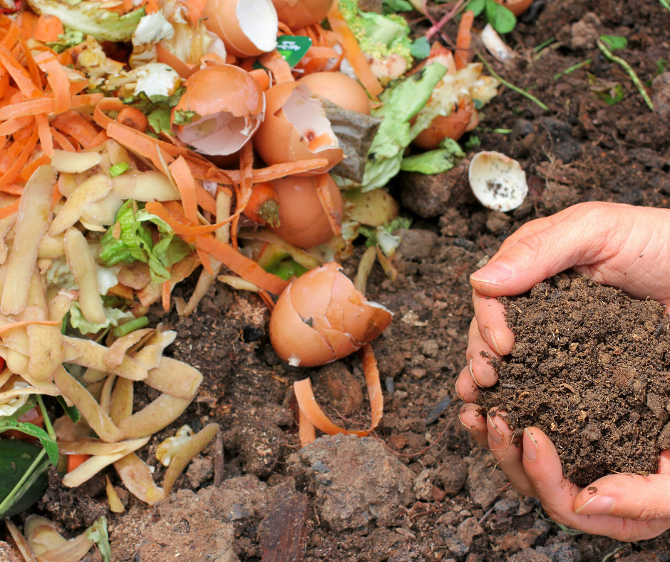 Compost wat is het en wanneer amp waarom compost gebruiken Tuin en Gras